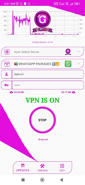 GUPTA VIP VPN Screenshot 1