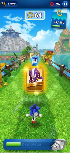 Sonic Dash - Endless Running Mod Screenshot 4