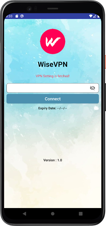 WiseVPN Screenshot 1