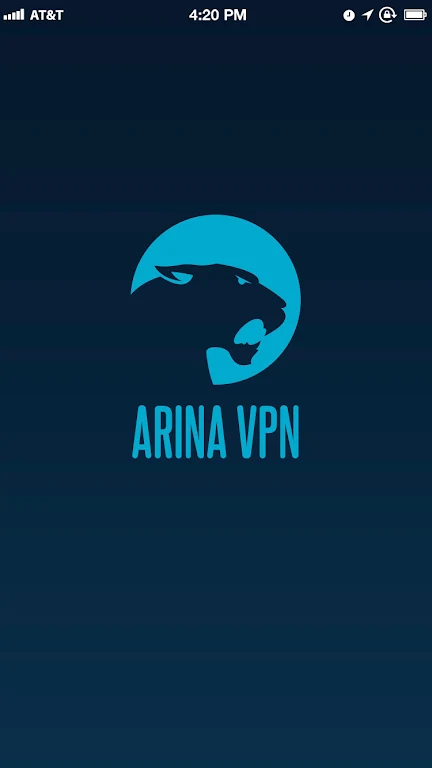 ARINA VPN Screenshot 1
