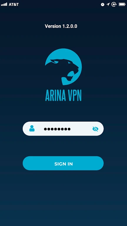 ARINA VPN Screenshot 2