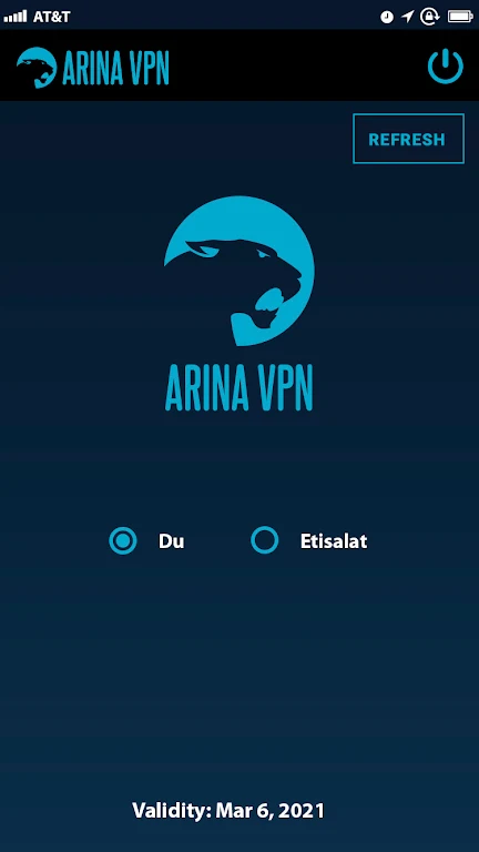 ARINA VPN Screenshot 3