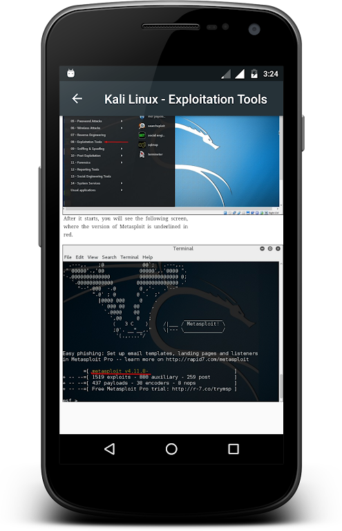 Kali Linux Screenshot 3