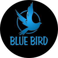 BLUE BIRD PRO - Secure VPN APK