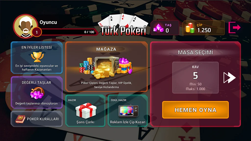 Türk Pokeri Screenshot 2