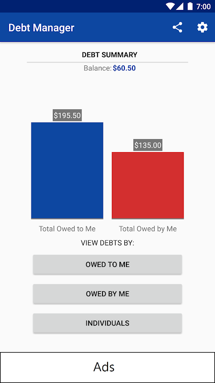 Debt Manager and Tracker Screenshot 1