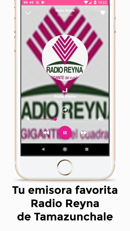 Radio Reyna de Tamazunchale Gigante del Cuadrante Screenshot 3