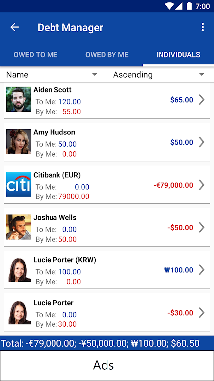 Debt Manager and Tracker Screenshot 2