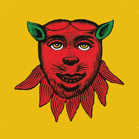 Licitovaný mariáš Topic