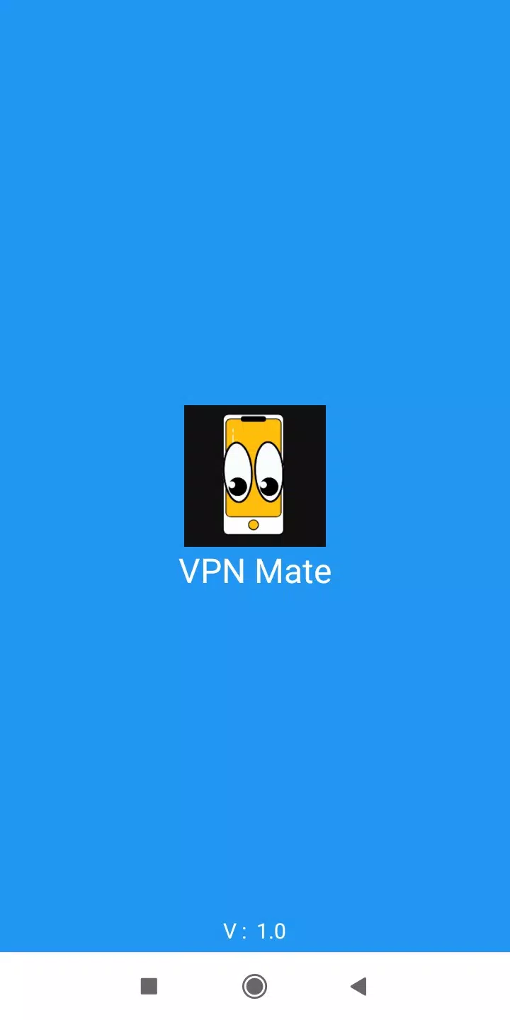 VPN Mate Screenshot 1