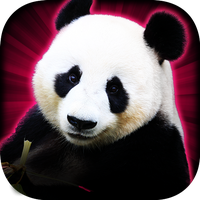 Slots Lucky Panda Casino Slots Topic