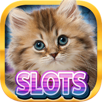 Casino Kitty Free Slot Machine Topic