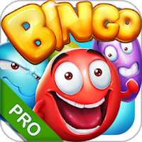 Bingo - Pro Bingo Crush™ Topic