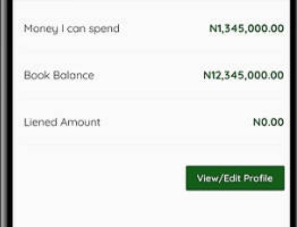 NNPC Depot (IB) Staff CICS Limited. Online Banking Screenshot 2