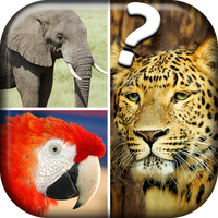 Quiz Me - What Animal Am I? Topic