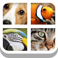 Close Up Animals - Kids Games Topic