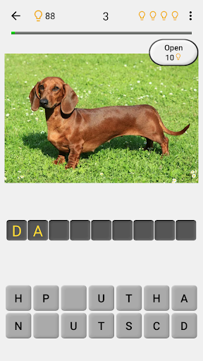 Dogs Quiz - Guess Popular Dog Breeds on the Photos Screenshot 3