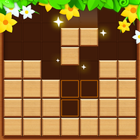 Wood Block Master - Brain Game Topic