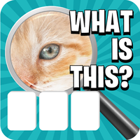 Close Up Pic Quiz Topic