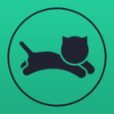 FastCatVpn APK