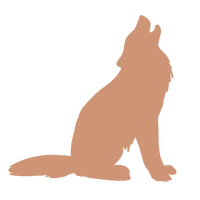 Wolf VPN - Free VPN Proxy & Wi-Fi Security Topic