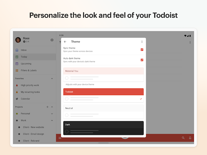 Todoist: to-do list & planner Mod Screenshot 11