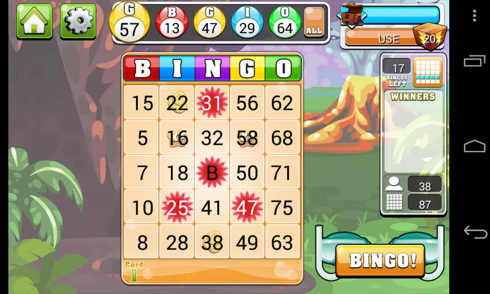 Bingo Casino - Free Vegas Casino Slot Bingo Game Screenshot 3