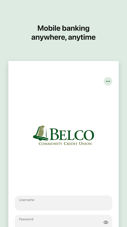 Belco CU Money Manager Screenshot 1