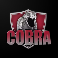 COBRA PRIVATE VPN Topic