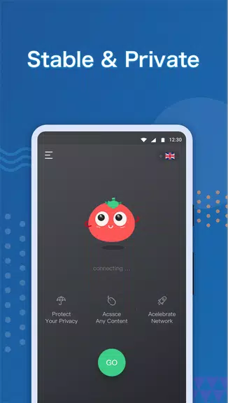 VPN Tomato Pro:  Fast & Stable & Unblock VPN Proxy Screenshot 4