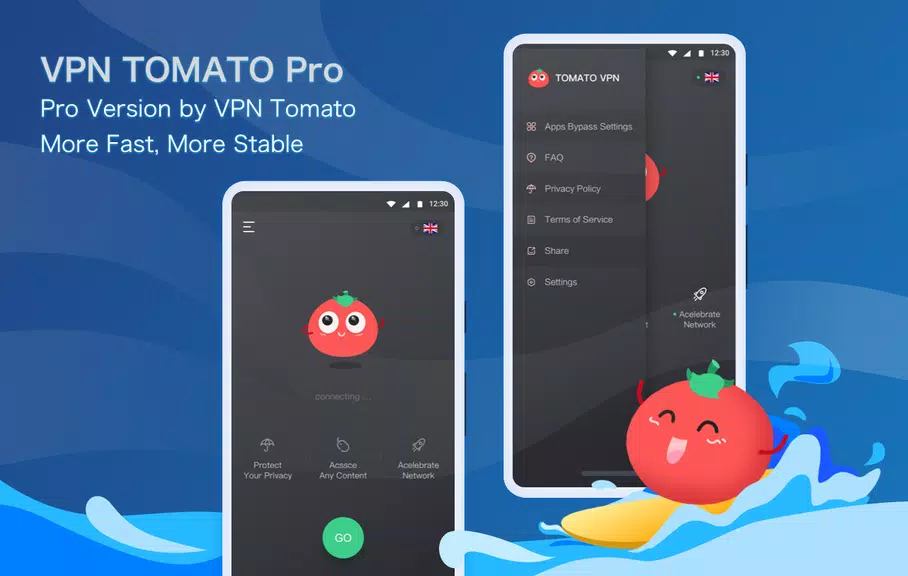 VPN Tomato Pro:  Fast & Stable & Unblock VPN Proxy Screenshot 1