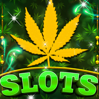 Kush Slots: Marijuana Casino, APK