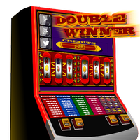 slots - Double Winner Topic