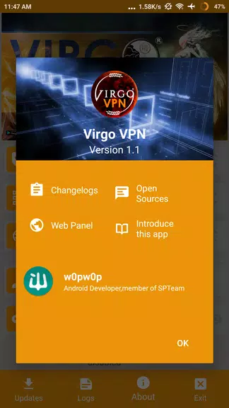 Virgo VPN Screenshot 3