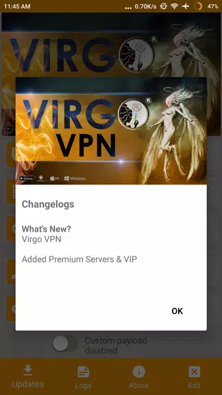 Virgo VPN Screenshot 2