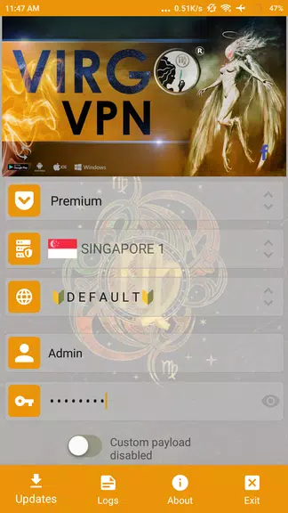 Virgo VPN Screenshot 1