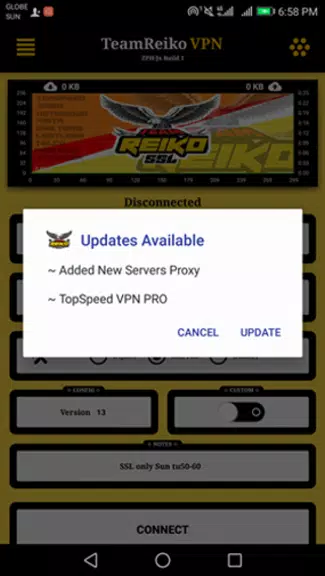 TeamReiko SSL VPN Screenshot 3