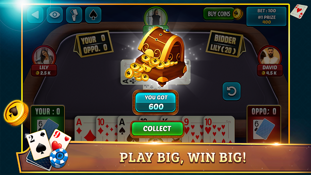 29 Card Game Plus Screenshot 3