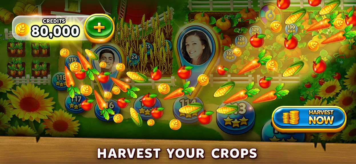 Solitaire Harvest - Tripeaks Screenshot 3