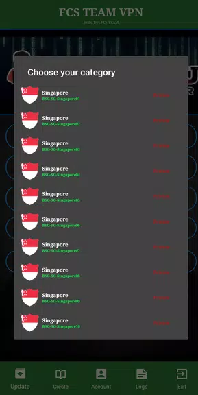 FCS TEAM VPN Screenshot 4