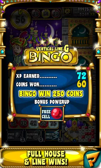 Sultan Of Bingo 2 Desert Daub Screenshot 3