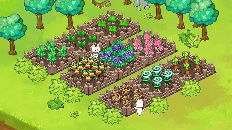 Animal Camp Screenshot 4