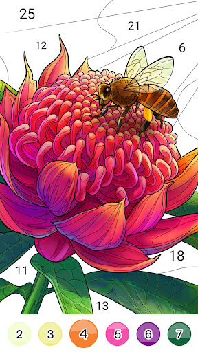 Color Up - Color By Number Screenshot 3