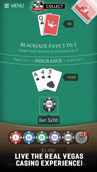 Blackjack 21 Jogatina: Casino Screenshot 1