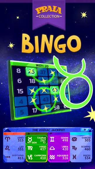 Video Bingo Malibu Screenshot 3