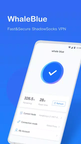 WhaleBlue VPN - Fast ShadowSocksR VPN w Free Trial Screenshot 1