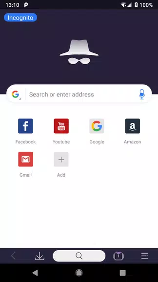 Private Browser - Incognito Window with VPN Screenshot 1