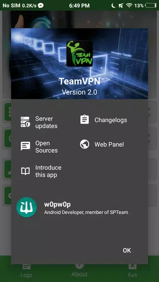 TeamVPN Screenshot 3