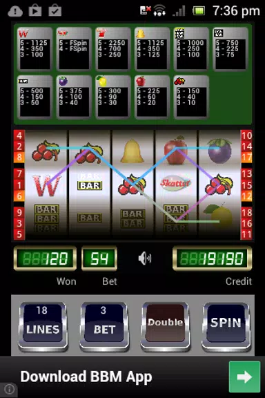 Wild Scatter Slot Machine Screenshot 2