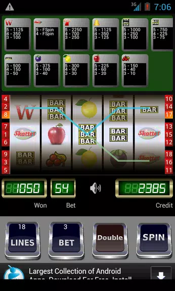 Wild Scatter Slot Machine Screenshot 3